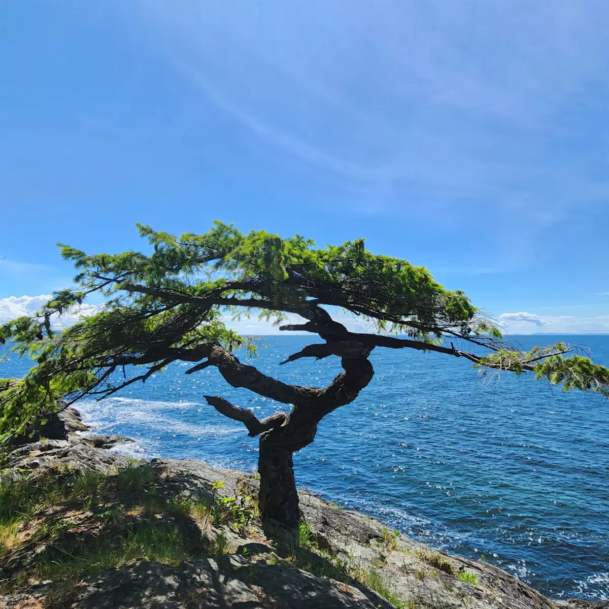 Walk-In Closet Photo of 2060 Cape Drive, Bowen Island, BC