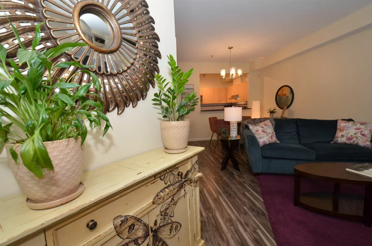 Exterior Rear Photo of 7 123 Seventh Street, New Westminster, BC