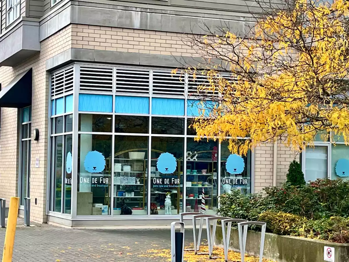 Backyard Photo of 801 10780 No. 5 Road, Richmond, BC