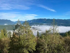 901 9222 University Crescent, Burnaby, BC