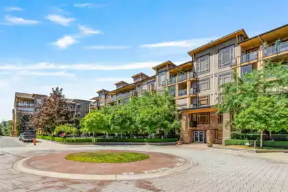 Aerial View of 356 8258 207a Street, Langley, BC