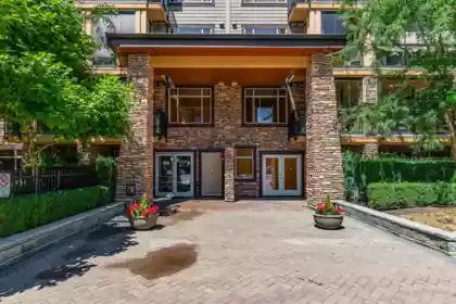 Family Room Photo of 356 8258 207a Street, Langley, BC