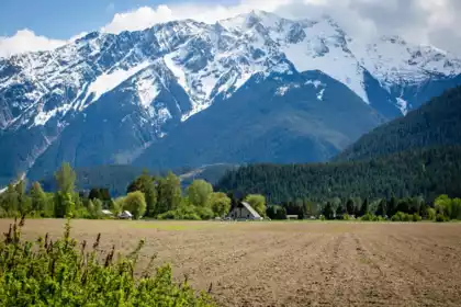 7631 Pemberton Meadows Road, Pemberton, BC, Pemberton — Land for sale