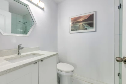 Guest Bathroom Photo of 423 2551 Parkview Lane, Port Coquitlam, BC