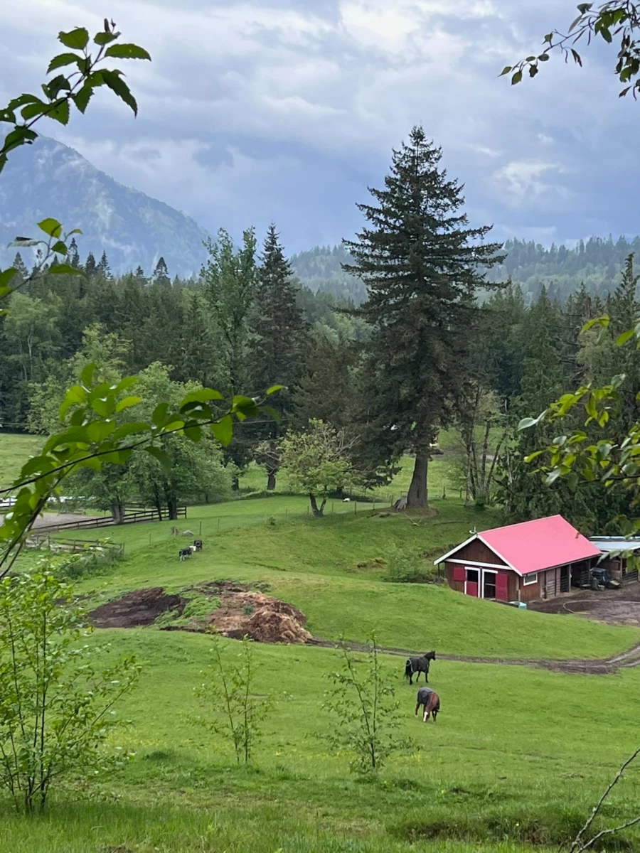 Hot Tub / Spa Photo of 5545 Graham Drive, Chilliwack, BC