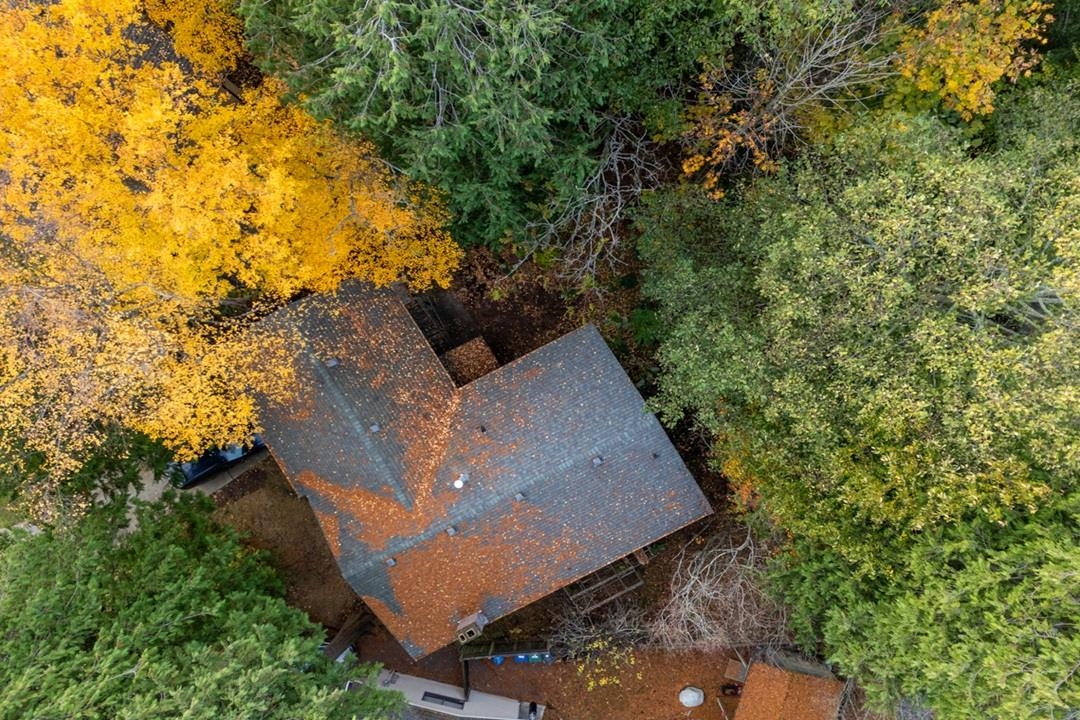Neighborhood Park Photo Near 13317 15b Avenue, Surrey, BC