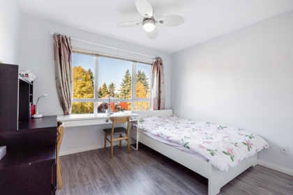 Basement Recreation Room Photo of 9 22728 Norton Court, Richmond, BC