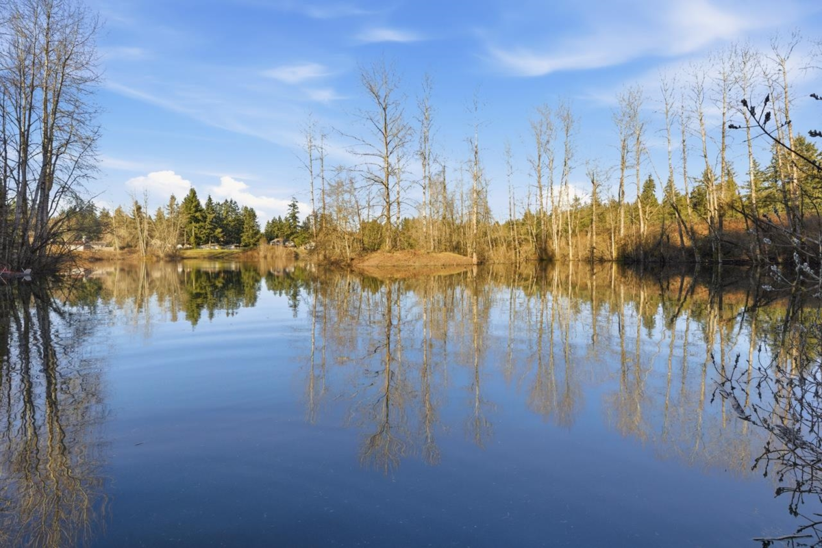 Outdoor Kitchen Photo of 2242 200 Street, Langley, BC