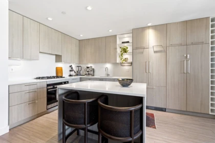 303 707 E 3rd Street, North Vancouver, BC, North Vancouver — Apartment/Condo for sale