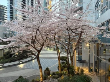 Aerial View of TH20 1281 W Cordova Street, Vancouver, BC