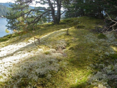 Office / Den Photo of Lot 26 West Bay Landing, Gambier Island, BC