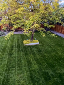 Front Yard Photo of 846 Wright Avenue, Port Coquitlam, BC