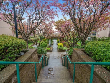 Staircase Photo of 207 78 Richmond Street, New Westminster, BC