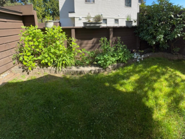 Front Yard Photo of 77 14129 104 Avenue, Surrey, BC