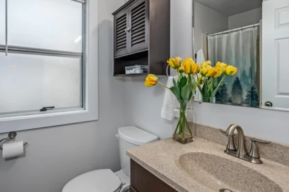 Laundry Room Photo of 8442 Harms Street, Mission, BC