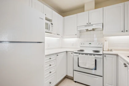 Walk-In Closet Photo of 206 2588 Alder Street, Vancouver, BC