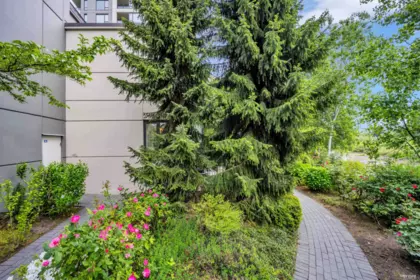 Outdoor Patio Photo of 6 4178 Dawson Street, Burnaby, BC