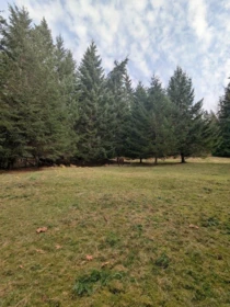 Bedroom 4 Photo of Lot 9 Mountain Road, Gambier Island, BC