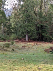 Breakfast Nook Photo of Lot 9 Mountain Road, Gambier Island, BC