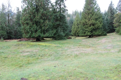 Kitchen Island Photo of Lot 9 Mountain Road, Gambier Island, BC