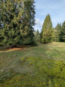 Kitchen Photo of Lot 9 Mountain Road, Gambier Island, BC
