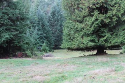 Pantry Photo of Lot 9 Mountain Road, Gambier Island, BC