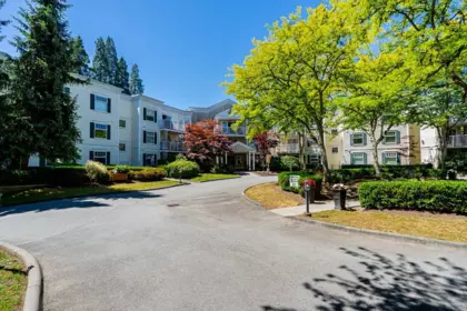 202 16065 83 Avenue, Surrey, BC, Surrey — Apartment/Condo for sale