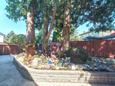Backyard Photo of 11933 Woodgrove Avenue, Delta, BC