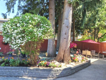 Front Yard Photo of 11933 Woodgrove Avenue, Delta, BC