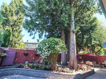 Outdoor Deck Photo of 11933 Woodgrove Avenue, Delta, BC