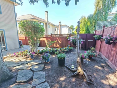 Street View Photo of 11933 Woodgrove Avenue, Delta, BC