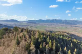 49780 Lookout Road, Chilliwack, BC