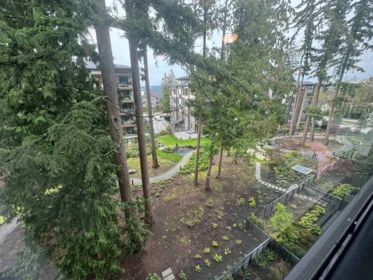 Backyard Photo of 409 3535 146a Street, Surrey, BC