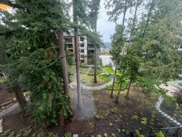 Hallway Photo of 409 3535 146a Street, Surrey, BC