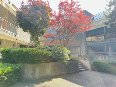 216 8460 Ackroyd Road, Richmond, BC, Richmond — Apartment/Condo for sale