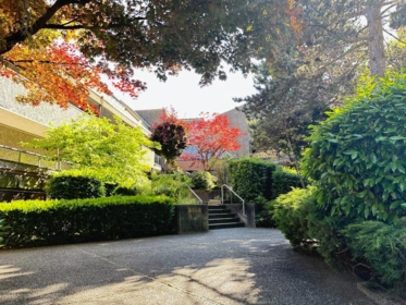 216 8460 Ackroyd Road, Richmond, BC, Richmond — Apartment/Condo for sale