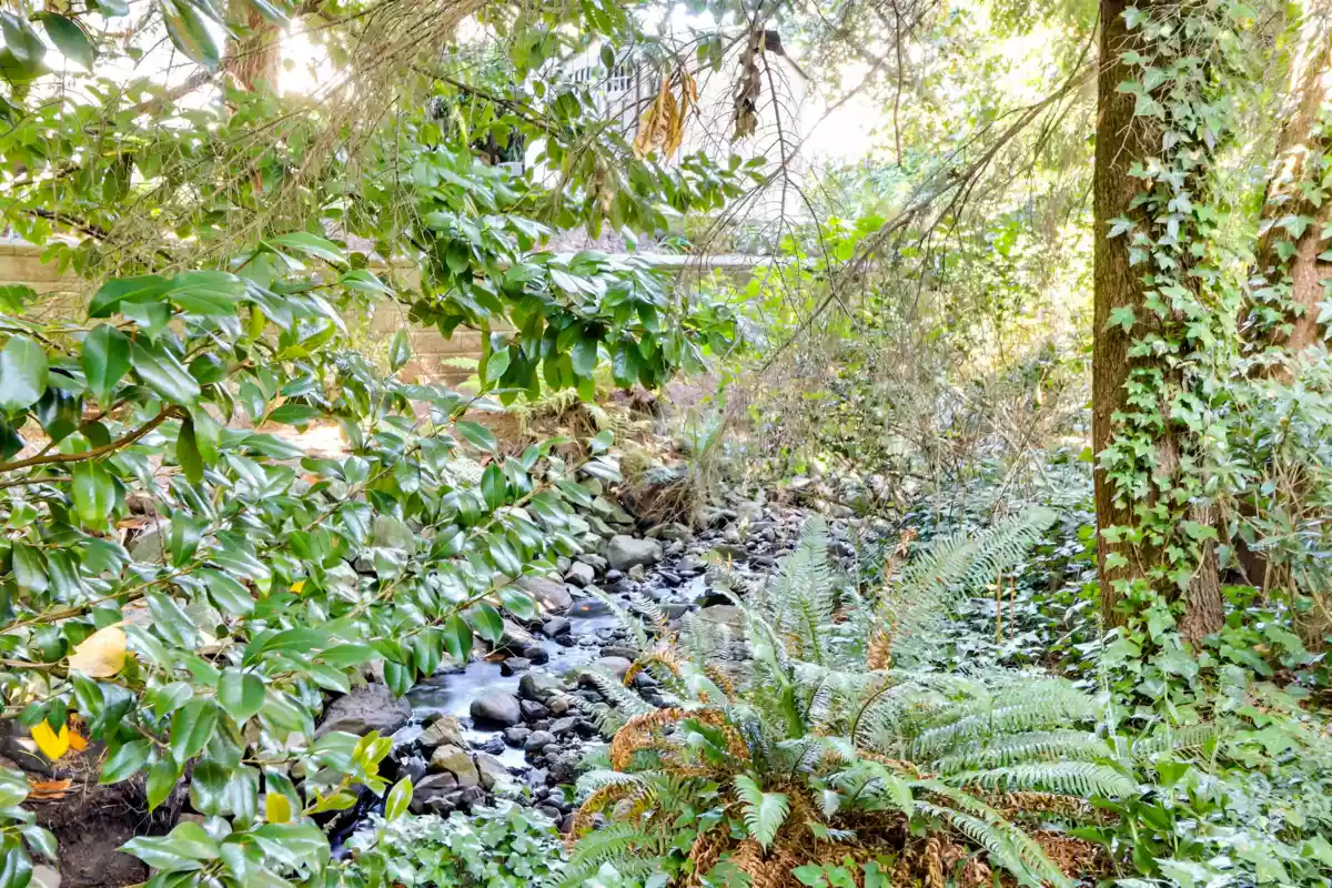 Swimming Pool Photo of 2141 Dauphin Place, Burnaby, BC