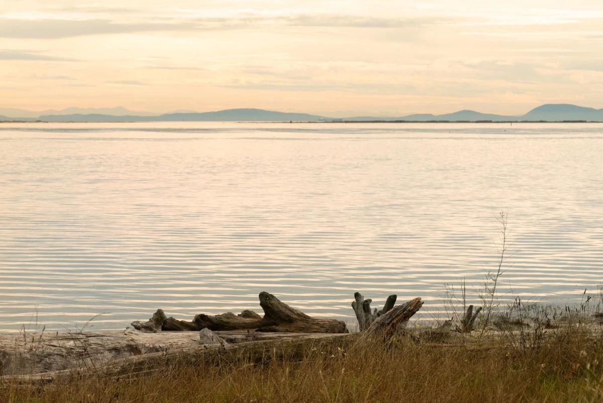 Primary Bathroom Photo of 99 3888 Moresby Drive, Richmond, BC