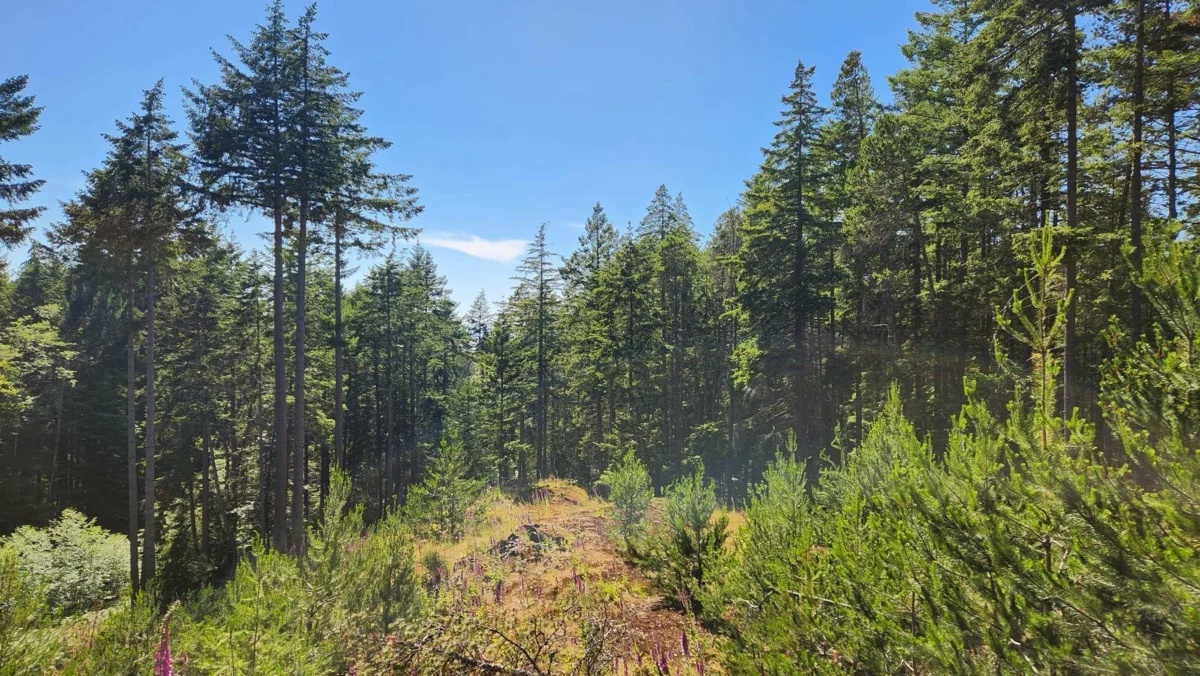 Exterior Rear Photo of 1765 Cape Drive, Bowen Island, BC