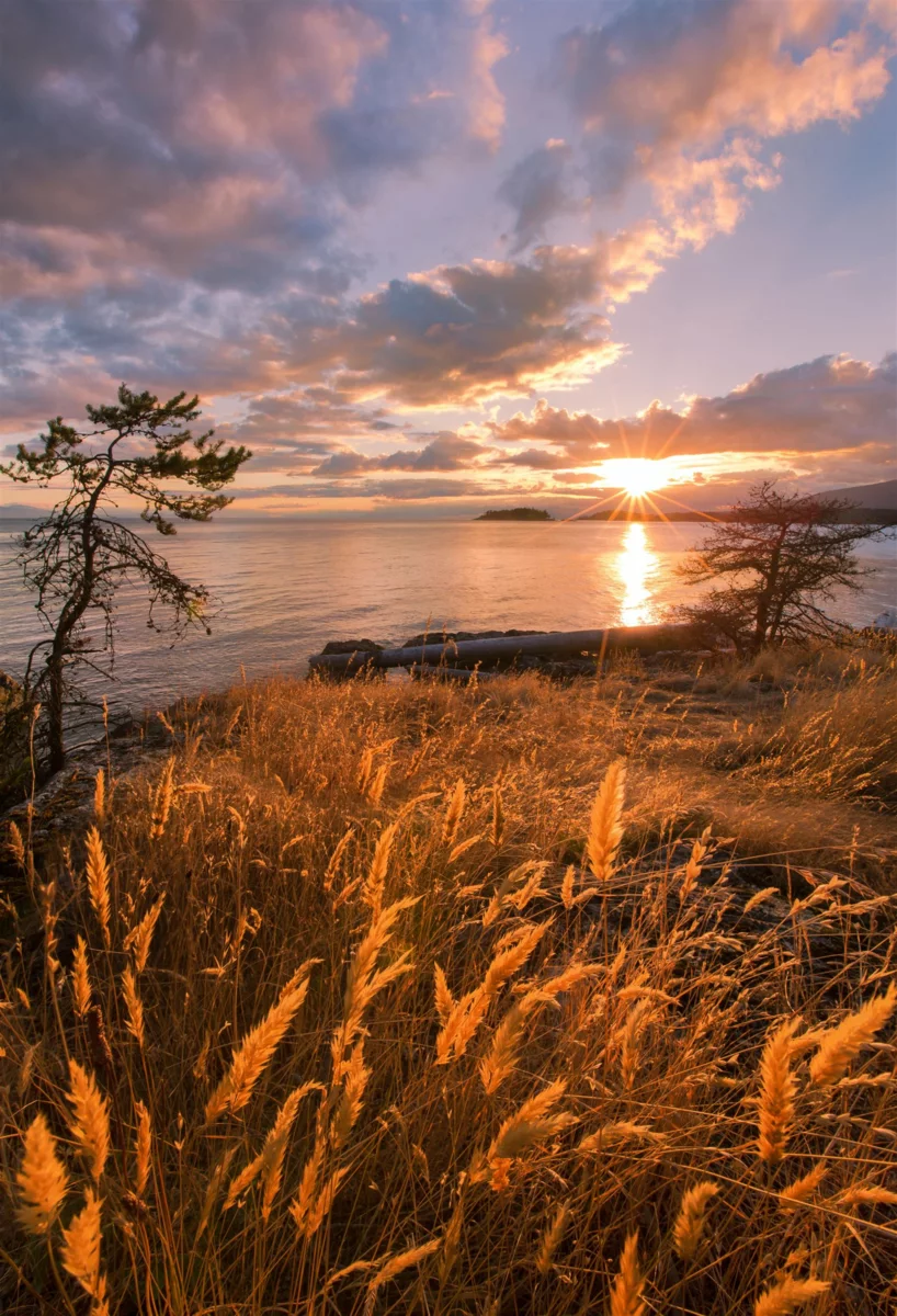 Walk-In Closet Photo of 1765 Cape Drive, Bowen Island, BC