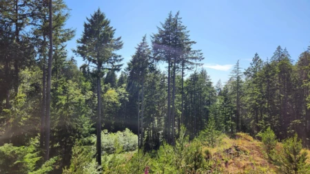 1765 Cape Drive, Bowen Island, BC, Bowen Island —  bed land for sale