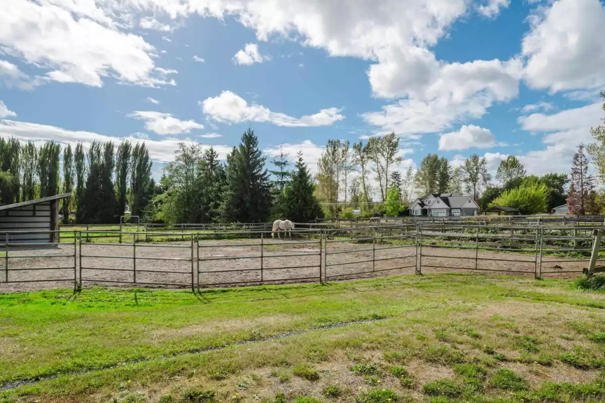 Backyard Photo of 20228 8 Avenue, Langley, BC