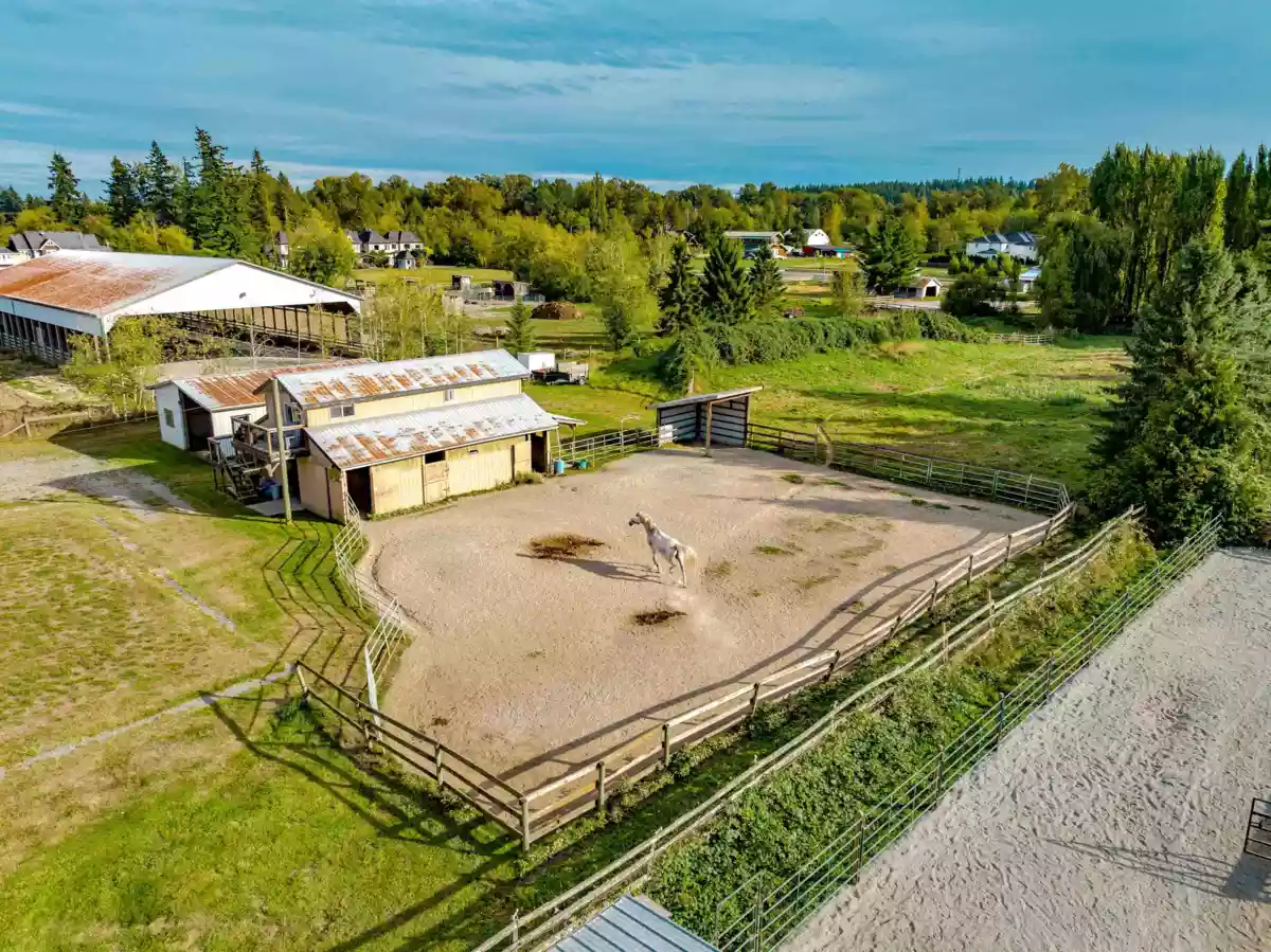 Kitchen Photo of 20228 8 Avenue, Langley, BC