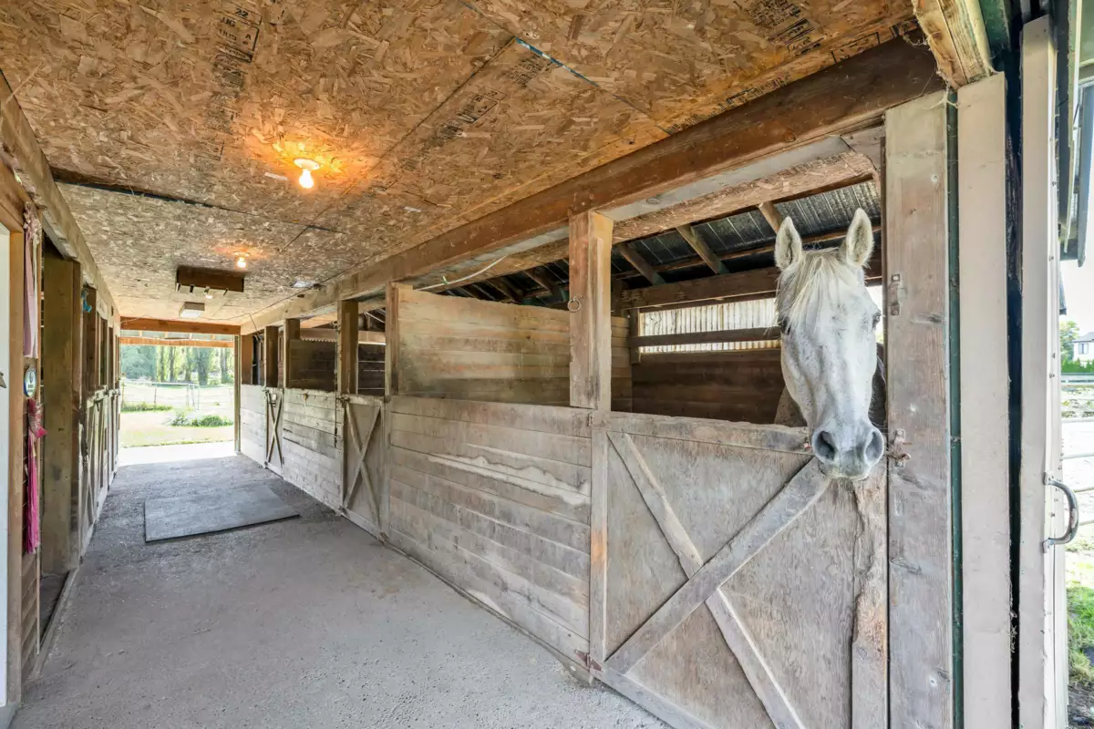 Outdoor Patio Photo of 20228 8 Avenue, Langley, BC