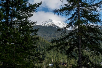 Community Amenities Photo (Clubhouse) of 5221 Jordan Lane, Whistler, BC