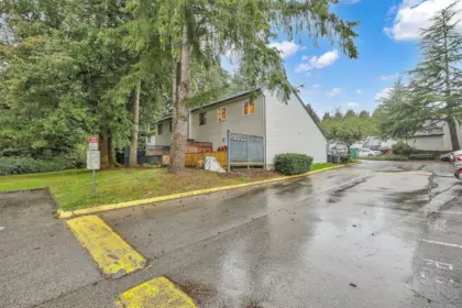 Basement Recreation Room Photo of 168 13742 67 Avenue, Surrey, BC