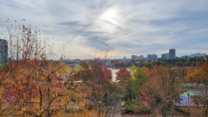 502 1483 Homer Street, Vancouver, BC