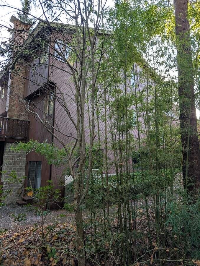 Family Room Photo of 1498 Chamberlain Drive, North Vancouver, BC