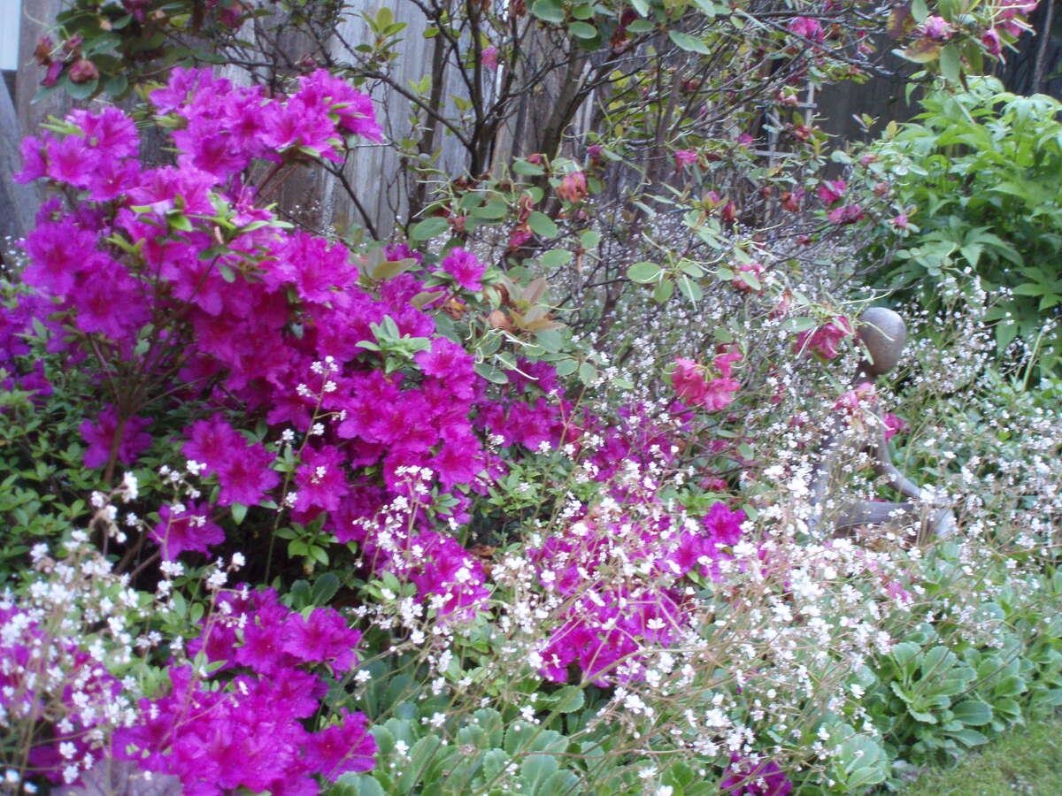 Outdoor Deck Photo of 1498 Chamberlain Drive, North Vancouver, BC
