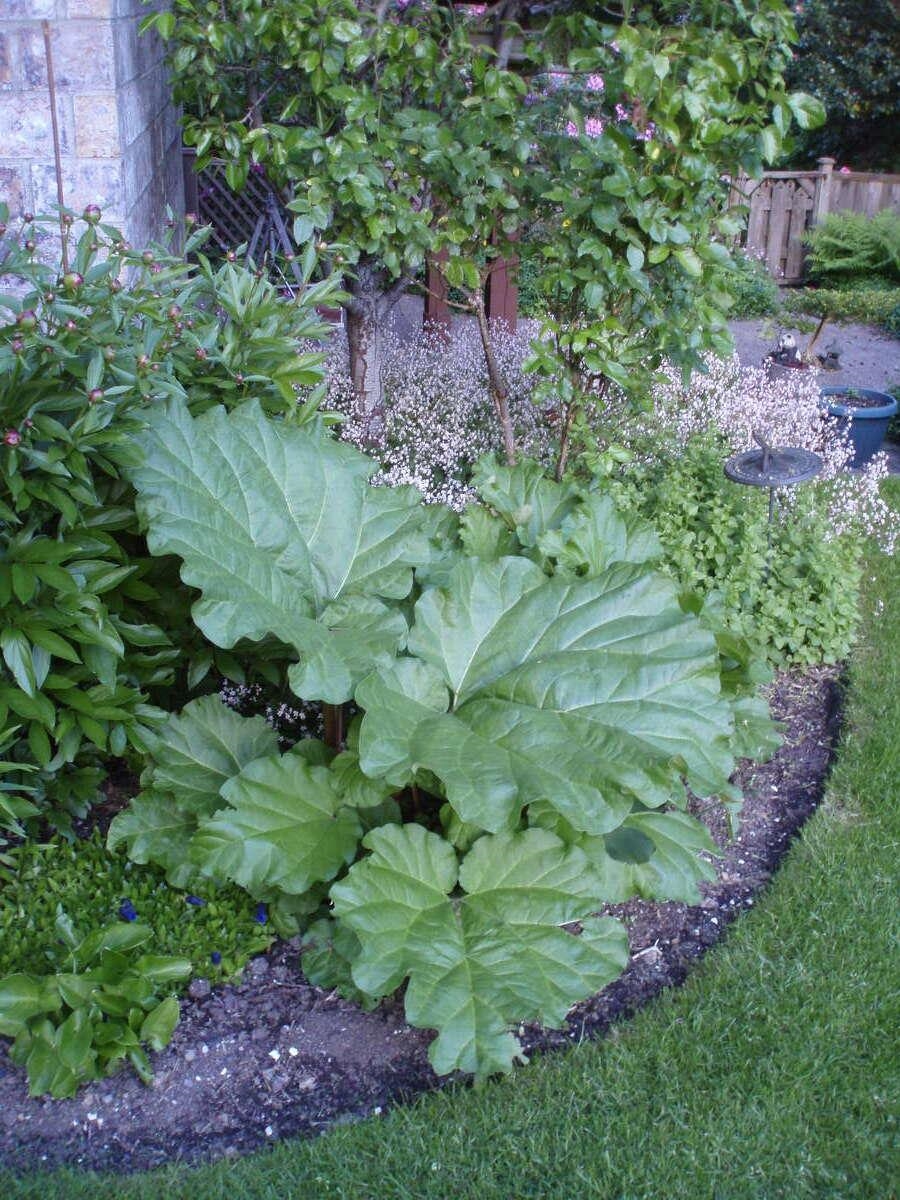 Outdoor Kitchen Photo of 1498 Chamberlain Drive, North Vancouver, BC